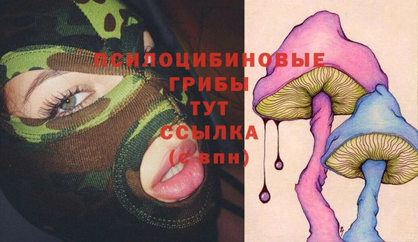 бошки Каменка