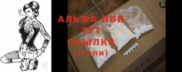 дживик Каменногорск