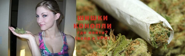дживик Каменногорск