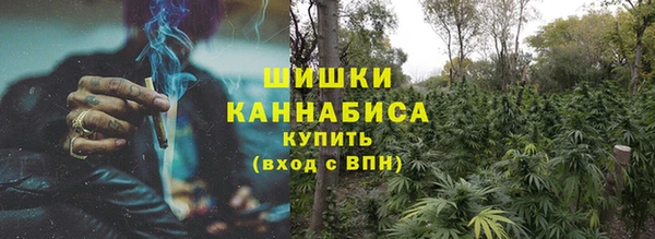 дживик Каменногорск