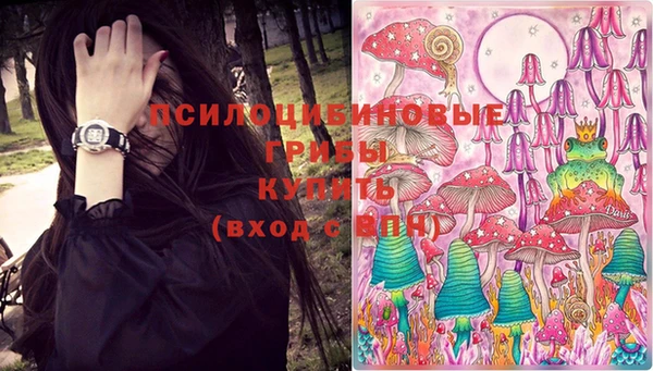 дживик Каменногорск